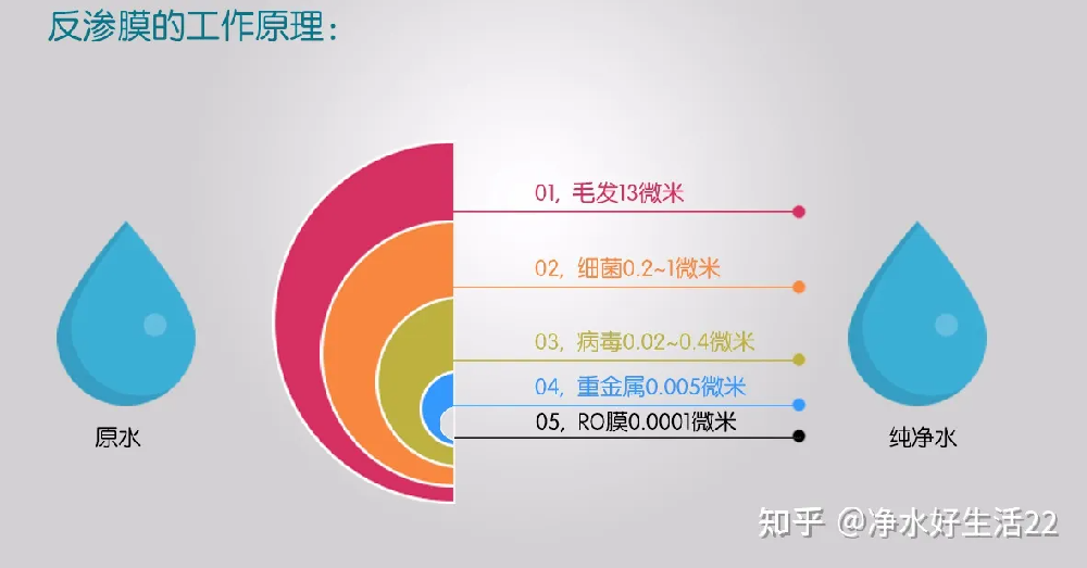 干式湿式反渗透膜有什么区别