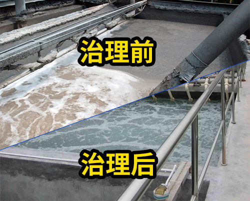 造纸厂污水处理设备